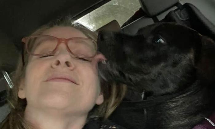 Musician Kim Blackburn's black lab dog licking her glasses off.