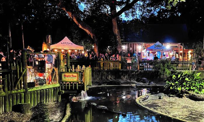 Looking past a water enclosure to the paths of the Alligator Farm, dotted with illuminated tents