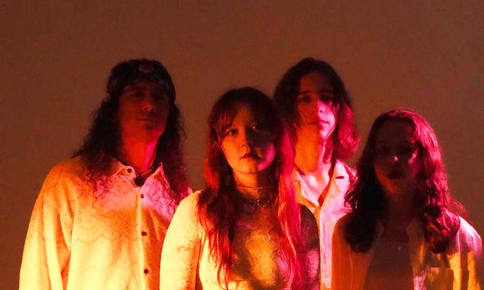 The band shy blossom, in deep shadow