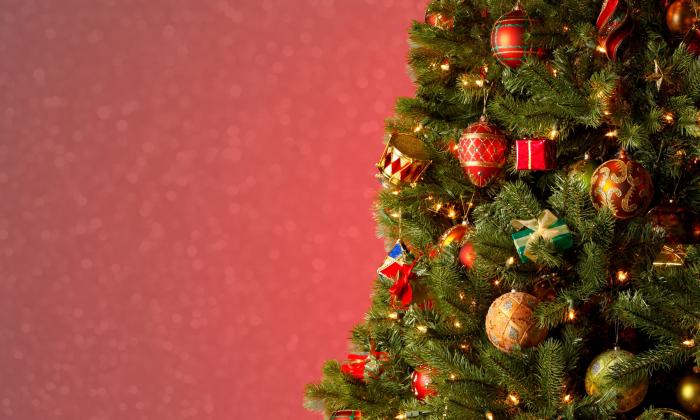A Christmas tree in front of a red, festive backdrop