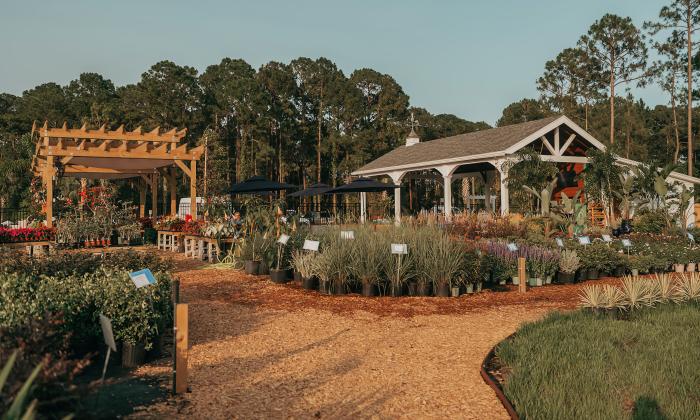 The layout inside Terra Nurseries