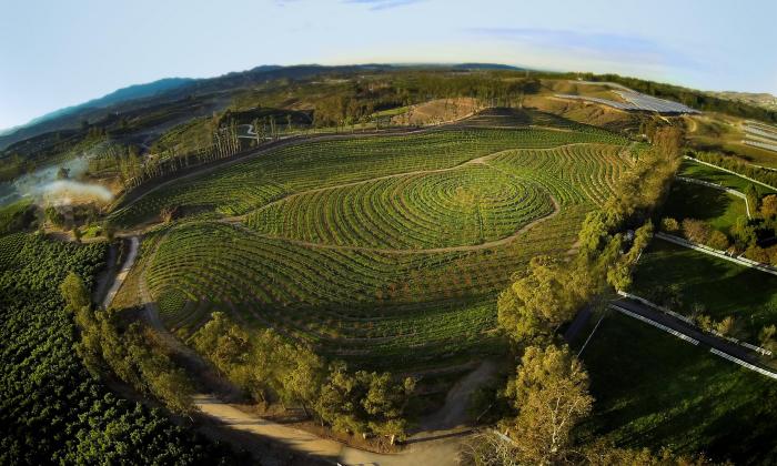 An overview of the land from "The Biggest Little Farm"