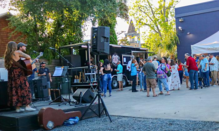 The back yard at Dog Rose Brewing Co. during Pints for Parkinson's
