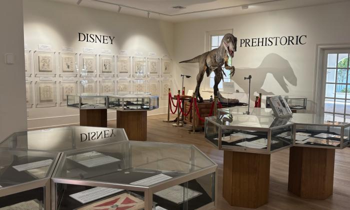 Various displays at the back of the museum
