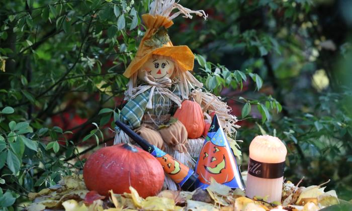 A garden display for Halloween with a scarecrow sittin on a small pile of pumpkins