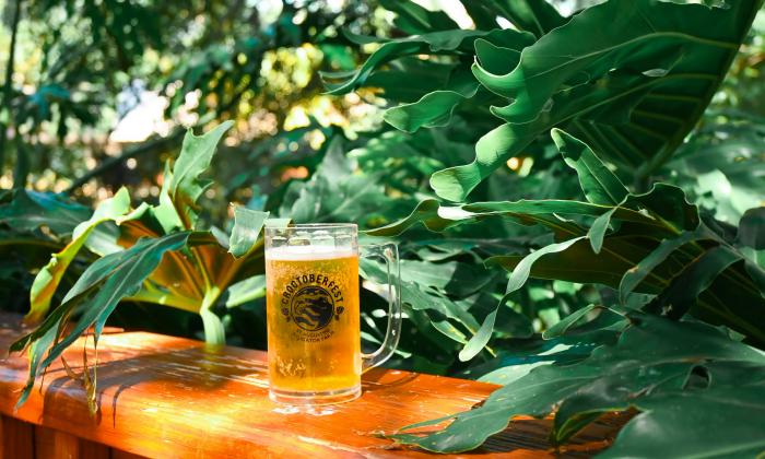 A beer propped up on a wooden ledge