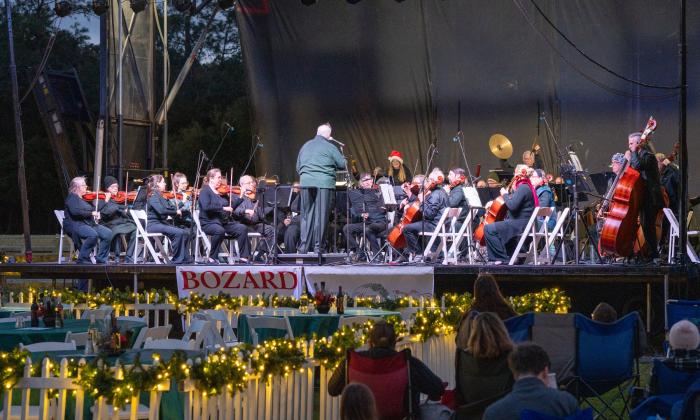 The orchestra at the holiday concert outside