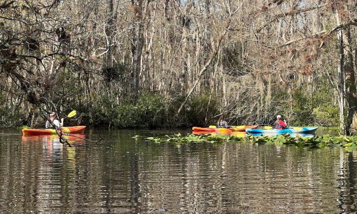 Three kayaks along a creek in St. Johns County