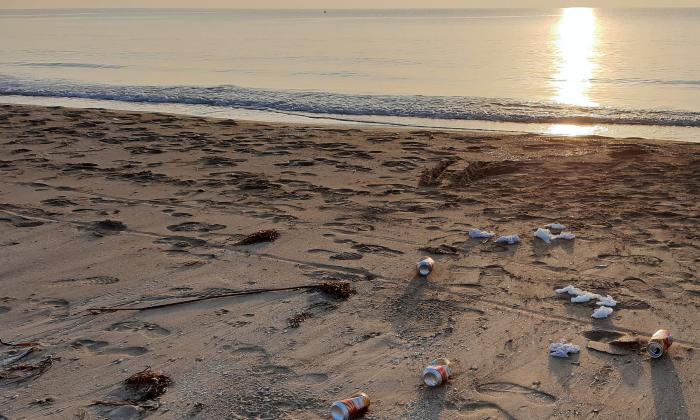 Visitors and locals will clean up the beaches on International Cleanup Day.