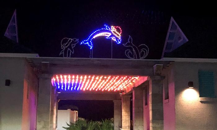 Holiday bedazzled dolphins at the top of the entrance to the pier.