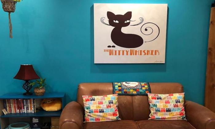 Sink into the comfy couch at The Witty Whiskers Cat Cafe in St. Augustine while you enjoy your coffee and feline friends