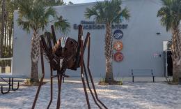 The exterior of the Disease Vector Education Center with a giant mosquito made of rust-colored metal