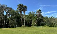 Part of the grounds at The Park