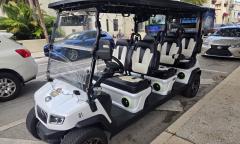 The open-air vehicle from Parrot Patrol Tours