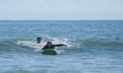 Endless Summer Surf School: Permanently Closed