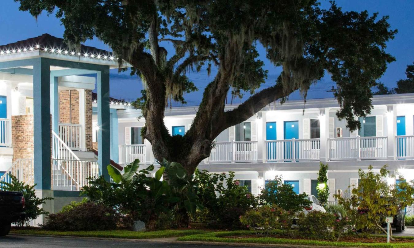 A large, aged oak in front of Southern Oaks Inn off of Ponce de Leon Blvd