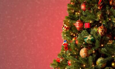 A Christmas tree in front of a red, festive backdrop