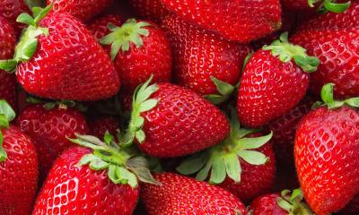 Ripe strawberries