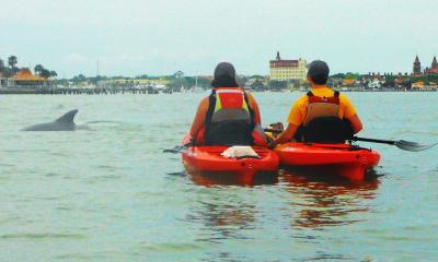 Two kayakers enjoying the views of St. Augustine, and a friendly dolphin.