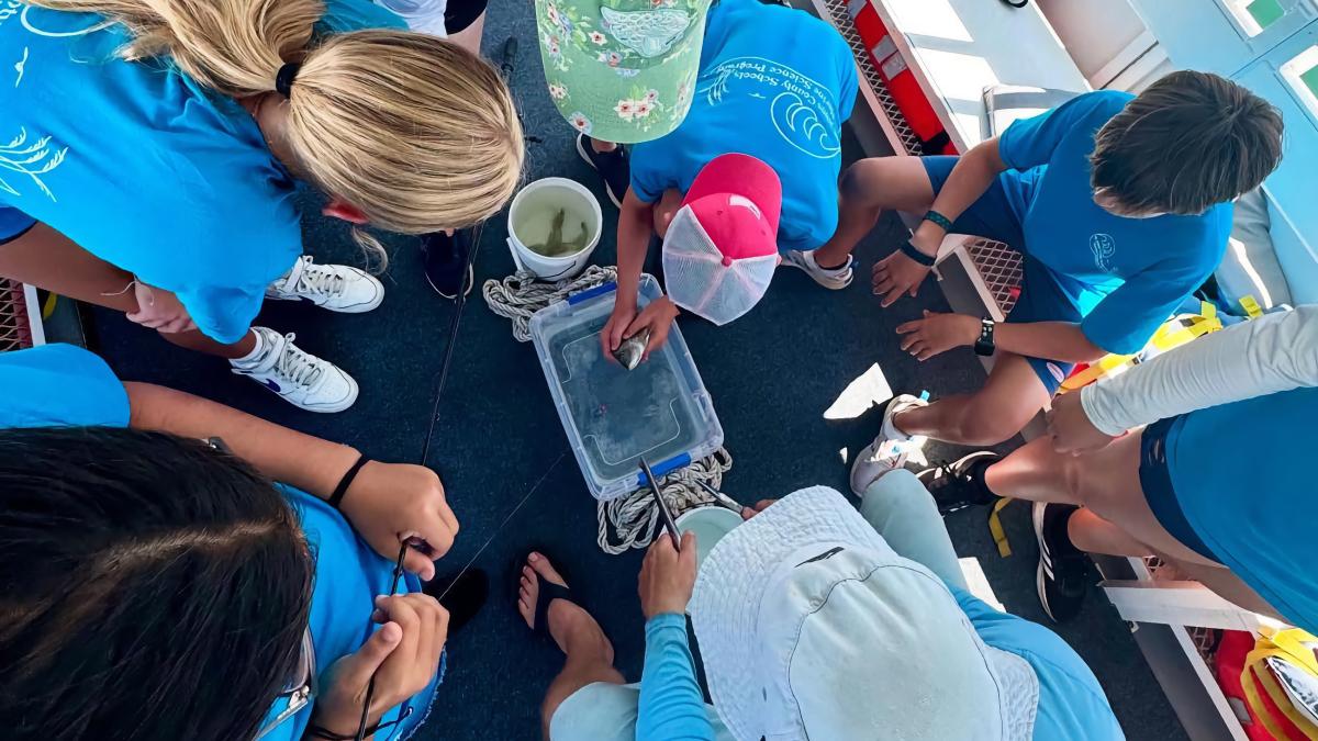 Florida Water Warriors Science - Florida Water Warriors Science Tour 25x15 WEB 