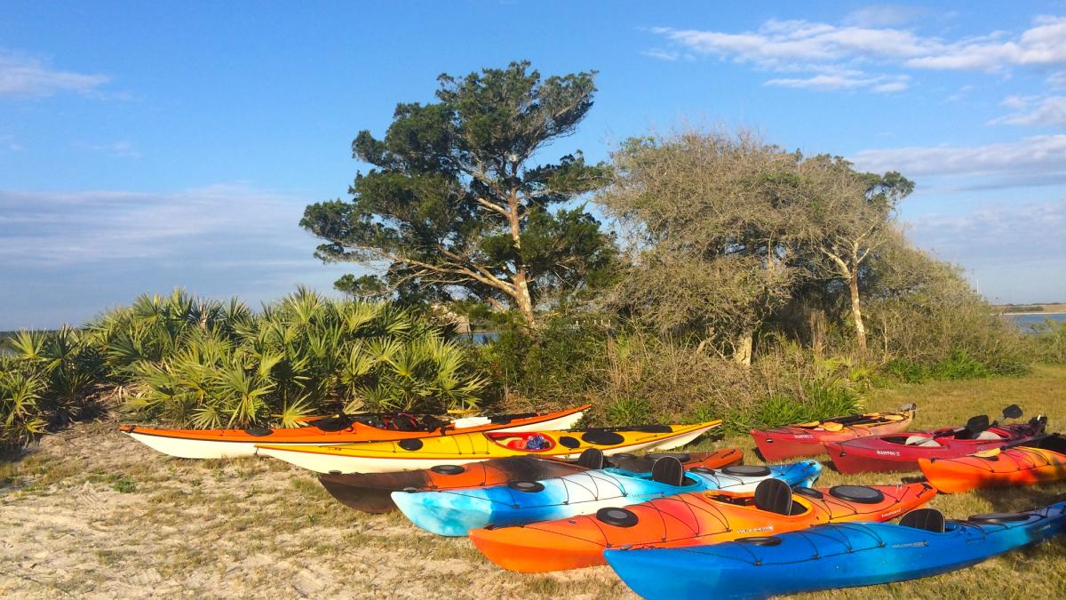 eco tour st augustine