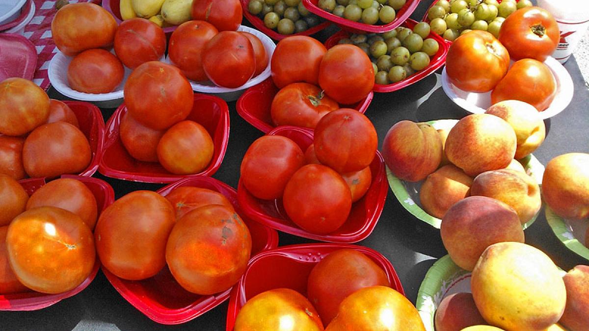 Wednesday Pier Farmers Market Visit St. Augustine