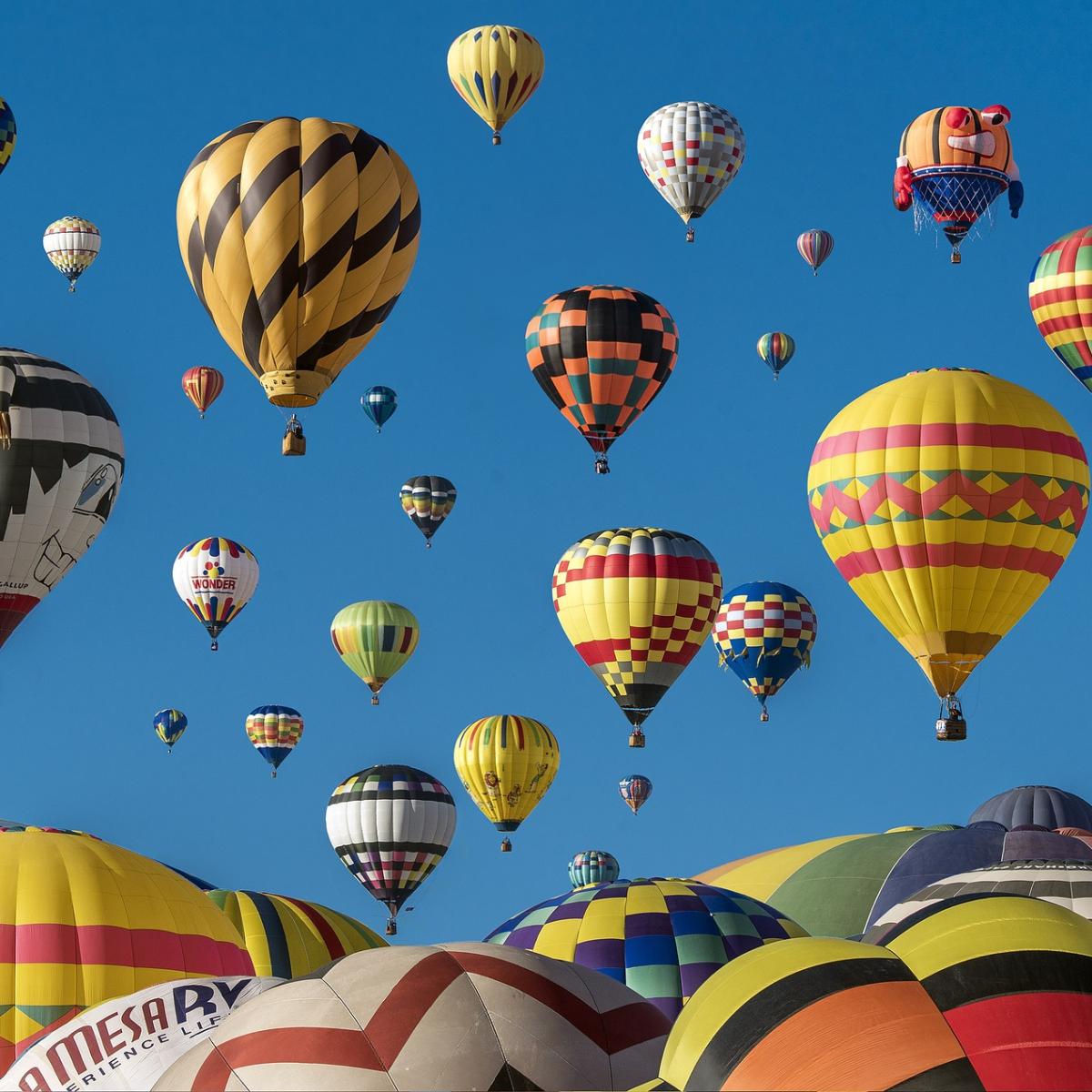 Hot Air Balloon Festival