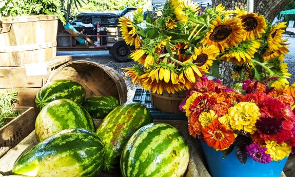 Sunflowers and watermelon at the market