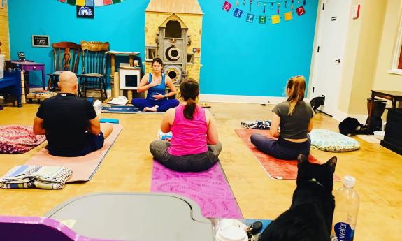 People taking a yoga class with cats