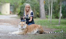 A woman, the owner of a wild animal reserve posting with a tiger on a leash