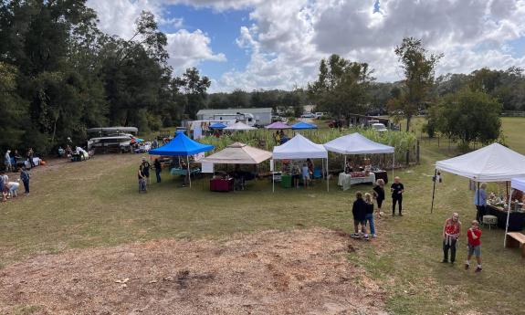 An overview shot of the Holistic Gathering and Plant Swap