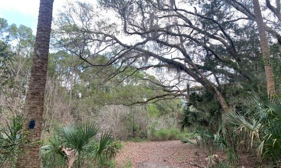Marked trails at Fish Island Preserve show visitors established paths