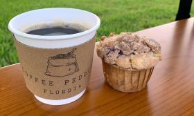 Coffee Peddler Florida coffee and muffin