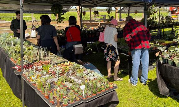 A number of shoppers in an outdoor booth at the cacti table at a flower and garden show