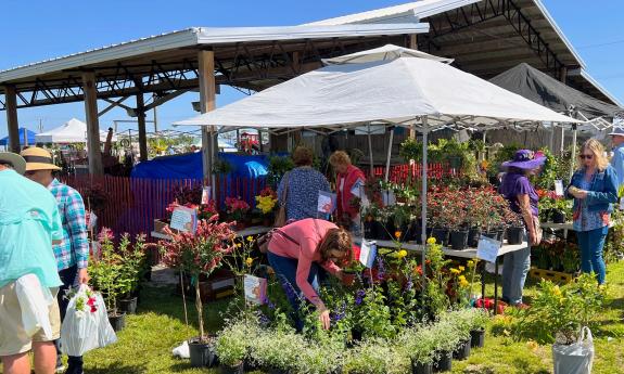 Shoppers and booths at the Epic Flower and Garden Show in St. Augustine