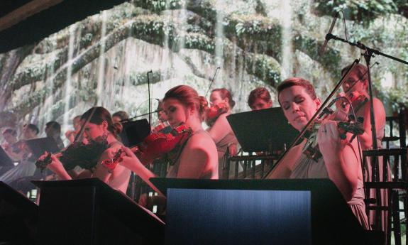 An ensemble of multiple stringed instruments playing in front of live oak trees