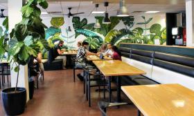 Guests can order from a variety of healthy wraps, salads, bowls, and smoothies at Crave restaurant in St. Augustine, FL