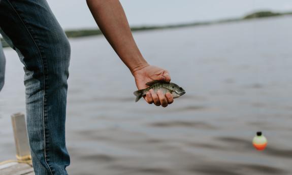 A man holds a fish in the palm of his hand.