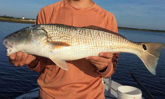 Hooked Up Fishing Charter — customer catch in St. Augustine, Florida