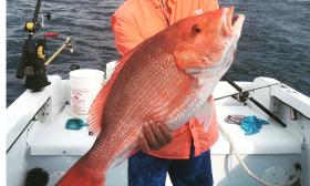 Fishing expedition with MisStress Sportfishing Charter in St. Augustine, Florida
