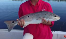 Redfish — Palm Coast Fishing Charter