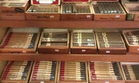 Assorted cigars at the Vintage Cigar Co. - Downtown St. Augustine