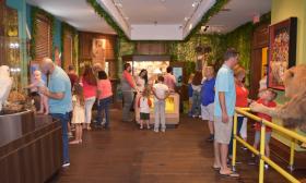 Families viewing the collection of animals on display at Ripley's Believe It or Not! Odditurium in St. Augustine