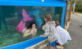 Two mermaids wave to two children from the aquarium at St. Augustine Aquarium