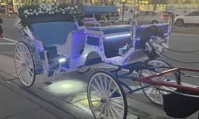 Old City Carriage Rides — Carriage with lights and decor