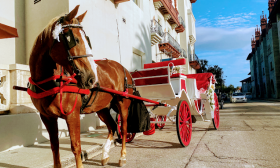 Old City Carriage Rides —Historic Downtown