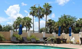 The pool and deck at DoubleTree by Hilton in St. Augustine, has high walls, overhaning palms, and lounge chairs 