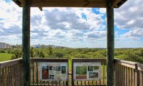 Nature views seen from the property's boardwalk