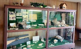 North Beach Camp Resort showcases natural and historical artifacts in Vilano Beach