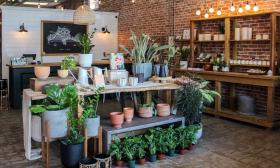 Feather + Bloom carries a variety of pots, plants, and more